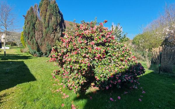 Maison à vendre    4 pièces • 80 m2 Saint-Yrieix-la-Perche