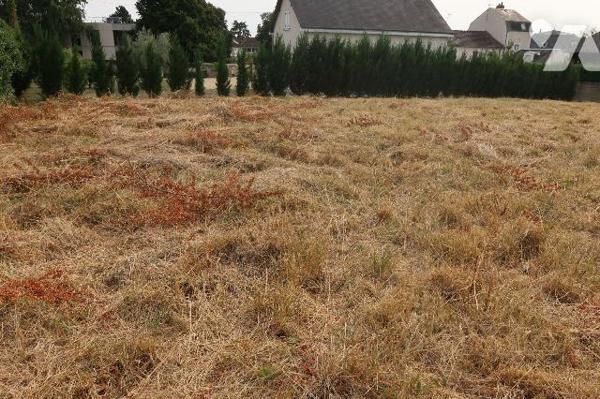 Quartier Est - Parcelle de terrain constructible d'env. 1000m2, en partie clôturée ;
viabilisa...