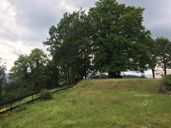 ✨ À vendre – Studio rénové avec grande terrasse aux 3 Épis ✨