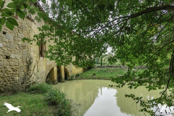 MOULIN RÉNOVÉ  10  Pièces  •  9  Chambres  •  480 m²  •  40424 m² de terrain