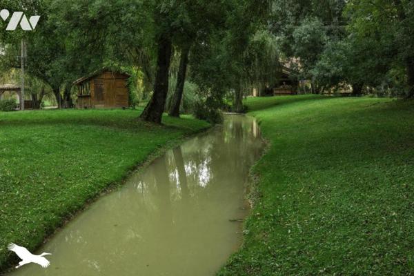 MOULIN RÉNOVÉ  10  Pièces  •  9  Chambres  •  480 m²  •  40424 m² de terrain