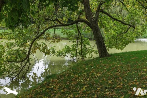 MOULIN RÉNOVÉ  10  Pièces  •  9  Chambres  •  480 m²  •  40424 m² de terrain
