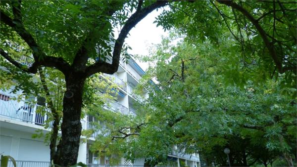 Lormont, proche Lycée Les Iris