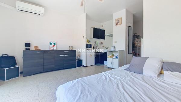 Agréable studio cabine de 24m2 à Argelès sur mer avec grande terrasse dernier étage