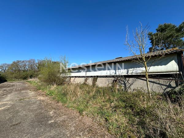 Hangars à Questembert - Vaste terrain d'1 hectare - 2 bâtiments