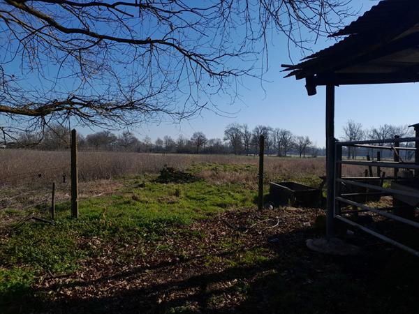 Maison à vendre à Saint Médard de Guizières - Référence 2056