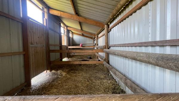 Propriété 8 pièces sur plus de 2 hectares à JUSSY LE CHAUDRIER (18) proche NEVERS, LA CHARITE-SUR-LOIRE, POUILLY-SUR-LOIRE, COSNES