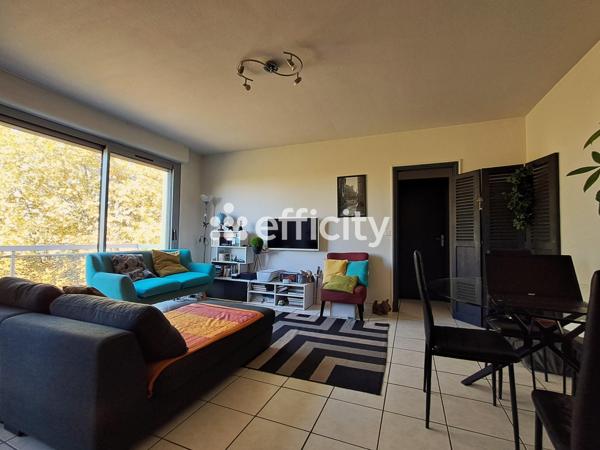 Appartement 2 pièces - 47 m² Exclusivité efficity