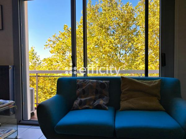 Appartement 2 pièces - 47 m² Exclusivité efficity