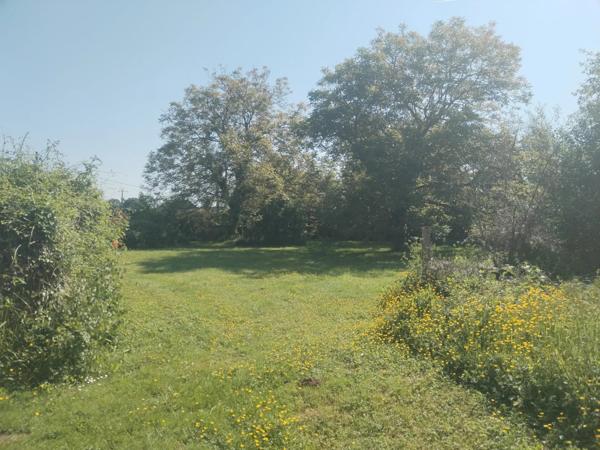 Immobilier Bussy-le-Repos (89500) – Maison 162.24m2 – 195 000 €