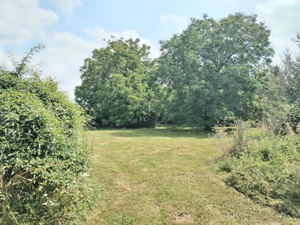 Immobilier Bussy-le-Repos (89500) – Maison 162.24m2 – 195 000 €