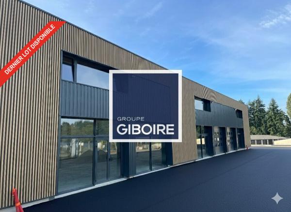 Local d'activites 200 m² à louer SAINT GILLES (réf : 35.6871)