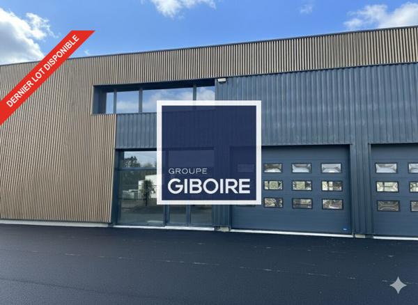 Local d'activites 200 m² à louer SAINT GILLES (réf : 35.6871)