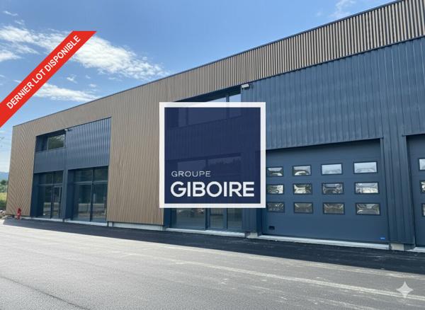 Local d'activites 200 m² à louer SAINT GILLES (réf : 35.6871)