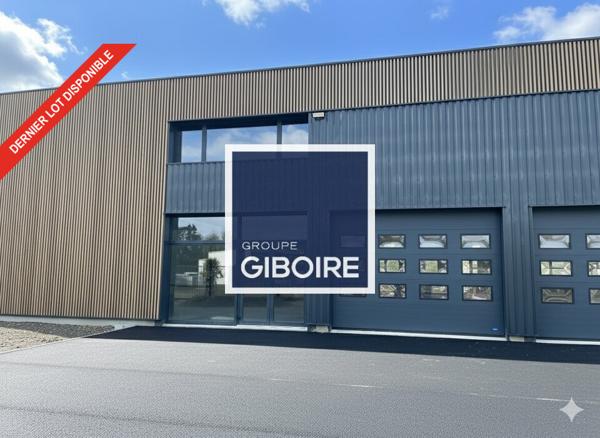 Local d'activites 200 m² à louer SAINT GILLES (réf : 35.6871)