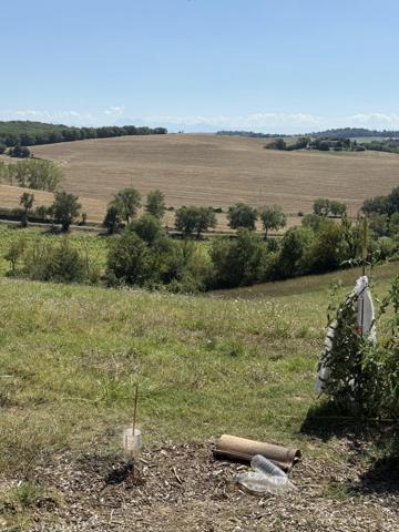 Vente / Terrain