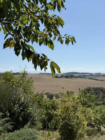 Vente / Terrain