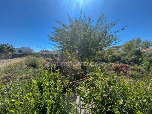 Maison à vendre 4 pièces, au cœur de Sainte-Marie-de-Ré – Parcelle de 1 200 m² avec dépendances en pierre MARIE DE RE (17)