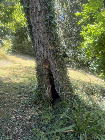 Achat - Maison Guipry-Messac 35480 5 pièces 100 m 2 4432 m 2