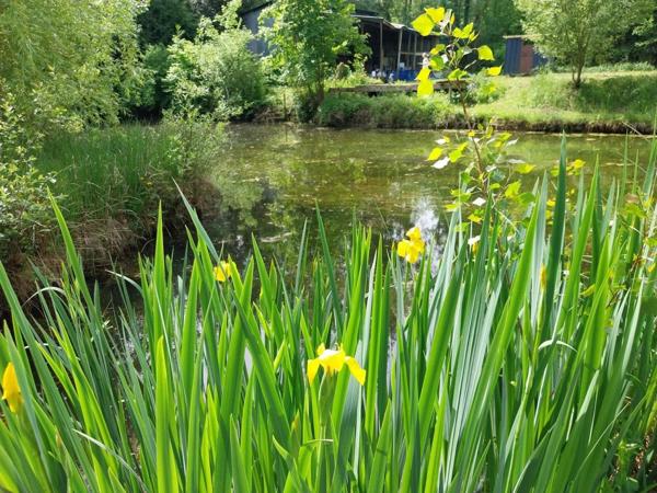 TERRAIN + ETANG PROCHE TRES CALME PROCHE CENTRE BOURG