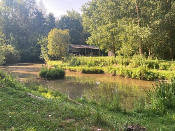 TERRAIN + ETANG PROCHE TRES CALME PROCHE CENTRE BOURG