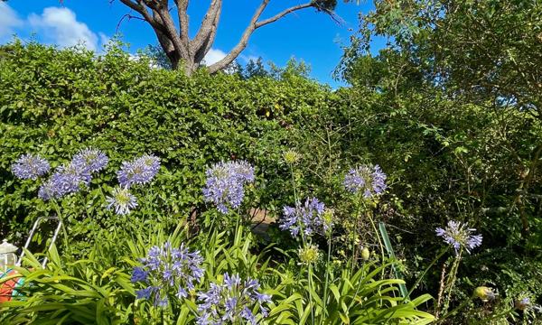 Maison Plouhinec - MORBIHAN