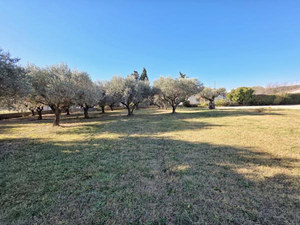 Beaucaire (30300) Charmante maison de plain-pied avec grand espace vert