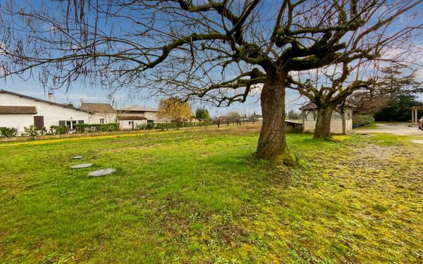 Maison à vendre    4 pièces •  Montauban