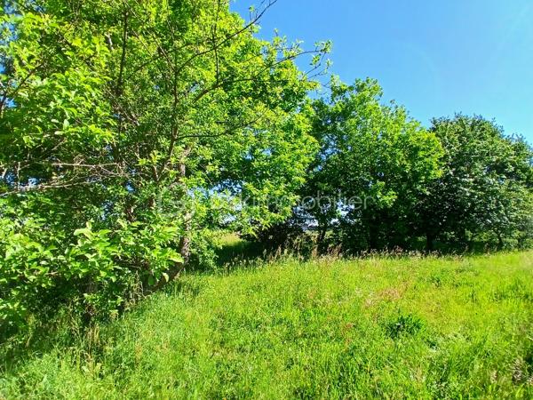 Située dans un hameau de Saint Benoît/Loire, cette longère profite de la proximité immédiate des bords de Loire, d'un grand terrain arboré de 5400 m² environ, de dépendances et d'une partie habitation.
Achat idéal si vous souhaitez optimiser son potentiel incroyable. 
Actuellement la partie habitation est composée de plain-pied d'une entrée, d'un espace de vie avec coin cuisine, de deux chambres, wc et salle d'eau. Un escalier permet d'accéder au grenier aménageable.
Une seconde partie servant actuellement de rangement pourrait également être réaménagée en logement et la grange offre également des possibilités pour des projets. les petits plus... serre, cul de loup
Des travaux sont à prévoir pour cette ancienne ferme dont les points forts sont sa proximité Loire, son joli jardin buccolique, ses dépendances.
A découvrir pour ceux et celles qui aiment les projets  et veulent profiter d'un beau terrain fleuri, arboré et buccolique