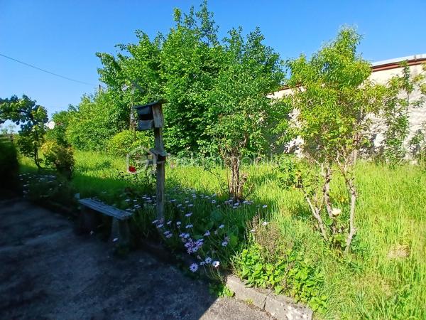 Située dans un hameau de Saint Benoît/Loire, cette longère profite de la proximité immédiate des bords de Loire, d'un grand terrain arboré de 5400 m² environ, de dépendances et d'une partie habitation.
Achat idéal si vous souhaitez optimiser son potentiel incroyable. 
Actuellement la partie habitation est composée de plain-pied d'une entrée, d'un espace de vie avec coin cuisine, de deux chambres, wc et salle d'eau. Un escalier permet d'accéder au grenier aménageable.
Une seconde partie servant actuellement de rangement pourrait également être réaménagée en logement et la grange offre également des possibilités pour des projets. les petits plus... serre, cul de loup
Des travaux sont à prévoir pour cette ancienne ferme dont les points forts sont sa proximité Loire, son joli jardin buccolique, ses dépendances.
A découvrir pour ceux et celles qui aiment les projets  et veulent profiter d'un beau terrain fleuri, arboré et buccolique