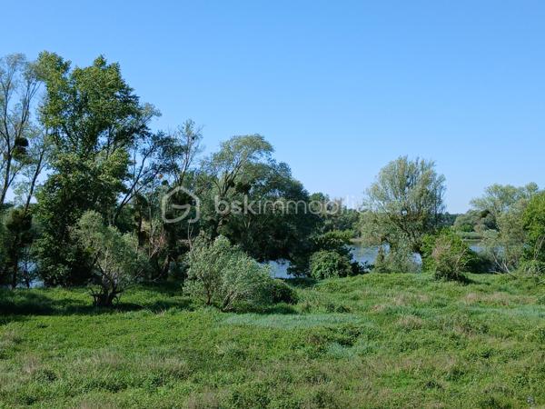 Située dans un hameau de Saint Benoît/Loire, cette longère profite de la proximité immédiate des bords de Loire, d'un grand terrain arboré de 5400 m² environ, de dépendances et d'une partie habitation.
Achat idéal si vous souhaitez optimiser son potentiel incroyable. 
Actuellement la partie habitation est composée de plain-pied d'une entrée, d'un espace de vie avec coin cuisine, de deux chambres, wc et salle d'eau. Un escalier permet d'accéder au grenier aménageable.
Une seconde partie servant actuellement de rangement pourrait également être réaménagée en logement et la grange offre également des possibilités pour des projets. les petits plus... serre, cul de loup
Des travaux sont à prévoir pour cette ancienne ferme dont les points forts sont sa proximité Loire, son joli jardin buccolique, ses dépendances.
A découvrir pour ceux et celles qui aiment les projets  et veulent profiter d'un beau terrain fleuri, arboré et buccolique