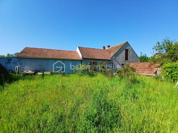 Située dans un hameau de Saint Benoît/Loire, cette longère profite de la proximité immédiate des bords de Loire, d'un grand terrain arboré de 5400 m² environ, de dépendances et d'une partie habitation.
Achat idéal si vous souhaitez optimiser son potentiel incroyable. 
Actuellement la partie habitation est composée de plain-pied d'une entrée, d'un espace de vie avec coin cuisine, de deux chambres, wc et salle d'eau. Un escalier permet d'accéder au grenier aménageable.
Une seconde partie servant actuellement de rangement pourrait également être réaménagée en logement et la grange offre également des possibilités pour des projets. les petits plus... serre, cul de loup
Des travaux sont à prévoir pour cette ancienne ferme dont les points forts sont sa proximité Loire, son joli jardin buccolique, ses dépendances.
A découvrir pour ceux et celles qui aiment les projets  et veulent profiter d'un beau terrain fleuri, arboré et buccolique