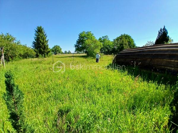 Située dans un hameau de Saint Benoît/Loire, cette longère profite de la proximité immédiate des bords de Loire, d'un grand terrain arboré de 5400 m² environ, de dépendances et d'une partie habitation.
Achat idéal si vous souhaitez optimiser son potentiel incroyable. 
Actuellement la partie habitation est composée de plain-pied d'une entrée, d'un espace de vie avec coin cuisine, de deux chambres, wc et salle d'eau. Un escalier permet d'accéder au grenier aménageable.
Une seconde partie servant actuellement de rangement pourrait également être réaménagée en logement et la grange offre également des possibilités pour des projets. les petits plus... serre, cul de loup
Des travaux sont à prévoir pour cette ancienne ferme dont les points forts sont sa proximité Loire, son joli jardin buccolique, ses dépendances.
A découvrir pour ceux et celles qui aiment les projets  et veulent profiter d'un beau terrain fleuri, arboré et buccolique