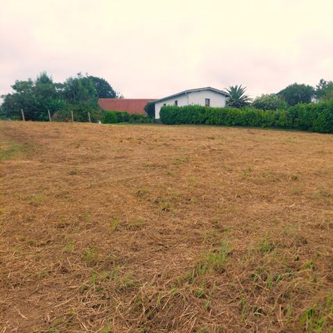 Guiche (64520) Guiche - Terrain à bâtir viabilisé