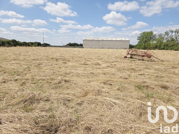 Terrain à vendre 4 500 m² Montournais