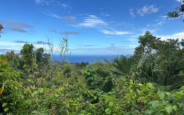 Terrain à vendre    Saint-Denis