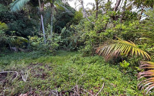 Terrain à vendre    Saint-Denis