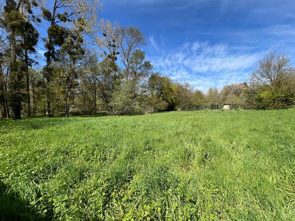 Maison ancienne à rénover à Anché - Fort potentiel