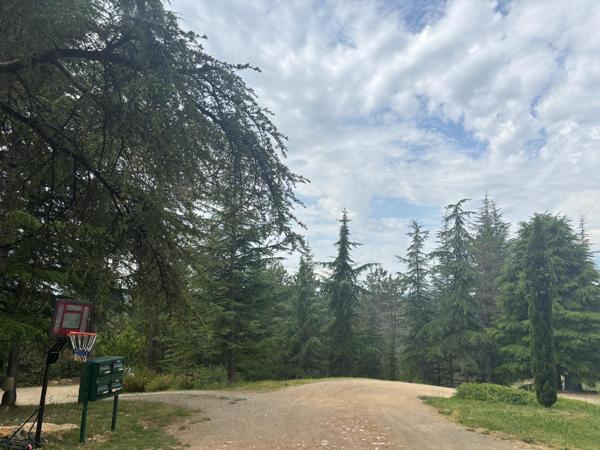 Terrain plat, arboré et viabilisé