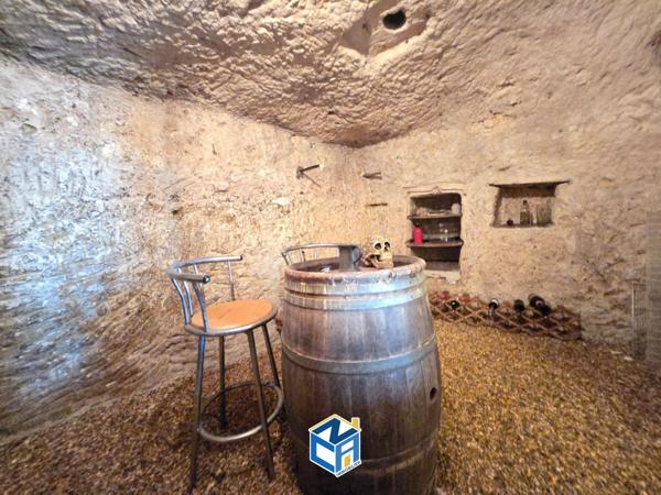 Maison du XIXème avec caves et dépendances