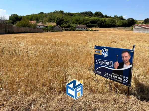 Terrain constructible