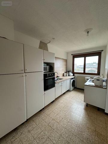 Maison individuelle à vendre à Fort-Mardyck dans le Nord (59430), ref : R1543