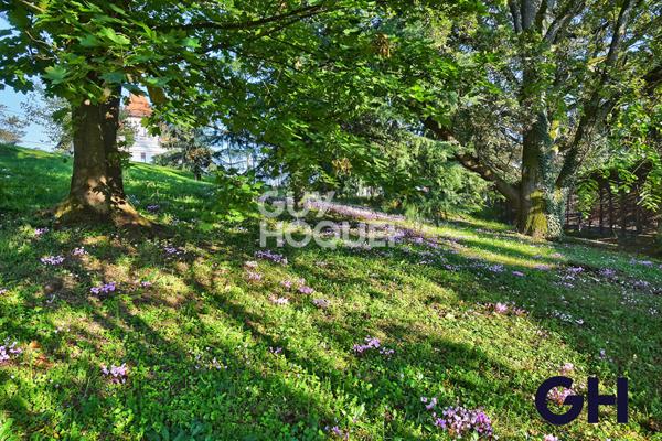 Appartement 3 pièces - Maison Bourgeoise - Vassieux, Caluire Et Cuire