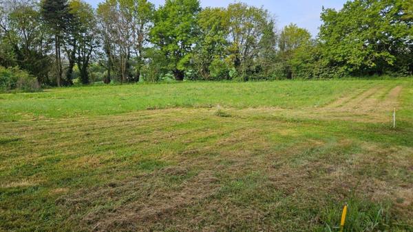 Terrain à Batir à vendre à Coulaines dans la Sarthe (72190), ref : 72119-1642