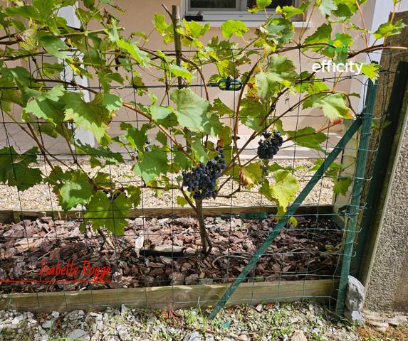 Maison 4 pièces - 95 m² Exclusivité efficity