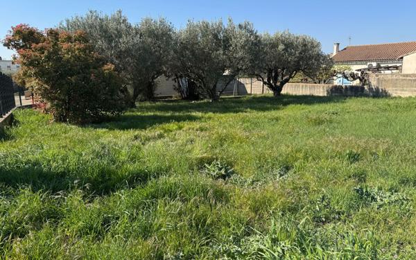 Terrain à vendre    Beaucaire