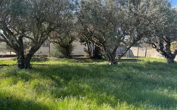 Terrain à vendre    Beaucaire