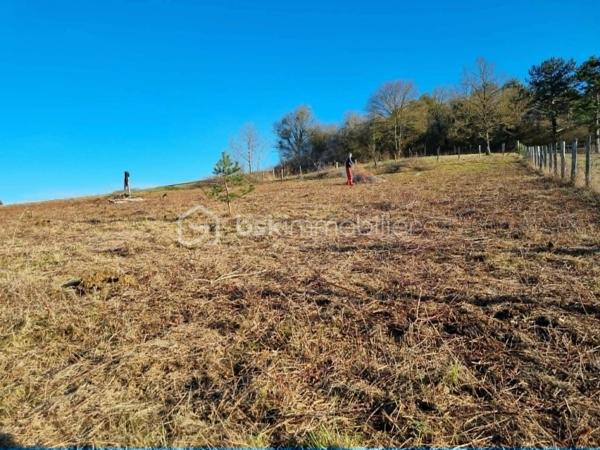 Vous rêvez de construire votre maison dans un cadre calme, verdoyant et avec une vue imprenable ?
Découvrez ce superbe terrain constructible situé sur la commune de Noé (89320), composé de deux parcelles égales pour une superficie totale de 1 666 m².

🌳 Ses points forts :
✔ Magnifique vue panoramique sur la campagne environnante
✔ Environnement paisible et préservé
✔ 50 mètres de façade, offrant de nombreuses possibilités d'implantation et d'aménagement
✔ Belle surface permettant de nombreux projets de construction
✔ Terrain idéal pour une résidence principale ou secondaire

📍 Emplacement privilégié :
À seulement 8 minutes de Sens
Commerces, écoles, services et zones commerciales rapidement accessibles
Gare SNCF de Sens avec liaison directe vers Paris-Bercy en 54 minutes
Accès rapide à l'autoroute A5 pour rejoindre Paris et les grands axes routiers

Rare sur le secteur, ce terrain offre un cadre de vie recherché, alliant calme, nature et proximité immédiate des commodités. 
Son importante façade de 50 mètres et sa vue dégagée en font une opportunité idéale pour concrétiser votre projet de construction.

📞 Contactez-moi dès aujourd'hui pour plus d'informations ou pour organiser une visite.