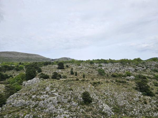 Vente / Terrain