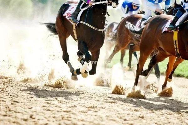 Vente Fonds de commerce à Mauléon